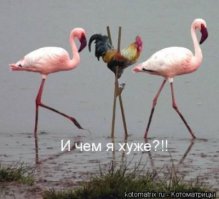 Напомнило:
