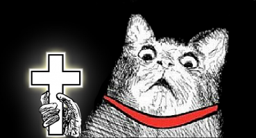 16 самых пугающих и смешных обменов лиц с животными