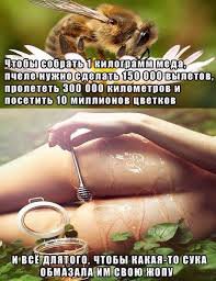 И этим всё сказано...