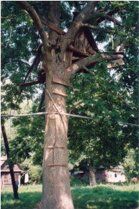 Домик нашего детства