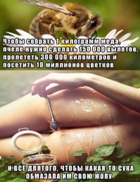 10 гениальных советов по использованию меда не по прямому назначению