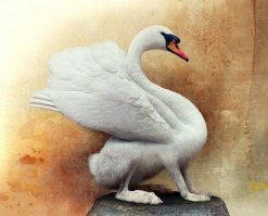 Мутации растительного мира на Фукусиме