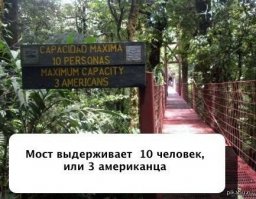 Дикая дичь или безбашенные покупатели американских супермаркетов