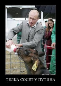 Лучшее порно! Без цензуры! (23 фото)