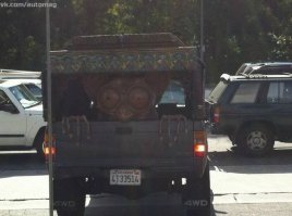 Блин, не хотел бы я его осветить фарами ночью, заикой останешься.