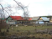 это дачи и бунгало
дом в деревне это место где живут и работают