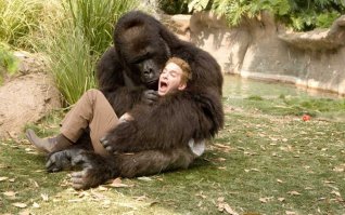 там есть продолжение: