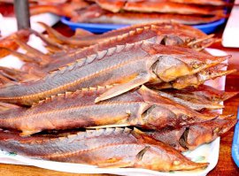 ХМАО-Югра р.Обь