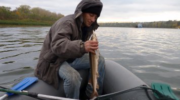 ХМАО-Югра р.Обь