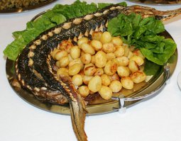 ХМАО-Югра р.Обь