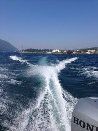 В этом августе довелось посетить Байкал. Омуль копченный очень пришелся. Сама я с Волги и жареный сазан-любимая рыба.