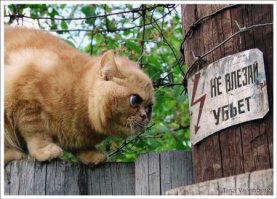 Фотоподборка за 08.09.2015