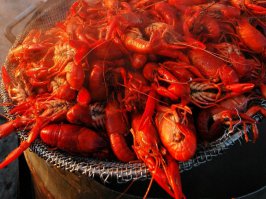 Вкуснятина 7 российских рек