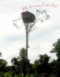 Самые крутые дома на дереве, чьим владельцам можно только позавидовать