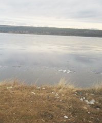 Менталитет, итить его!
 Вот что удивительно, все мои знакомые не позволяют себе засерать природу вокруг себя и дико осуждают такое...ну не знаю я людей которые выбрасывают мусор на природе, значит таких людей большинство! Но ведь попадаются упыри-чуханы...единицы, зато плоды их деятельности видны в рощах возле дачных товариществ, на берегах рек... Вот уже 3й раз выкладываю фотки 2013го года с берега великой и могучей Ангары в районе Богучан...