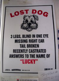 ПРОПАЛА СОБАКА
3 ноги, слепой на один глаз
отсутствует правое ухо
хвост сломан
недавно кастрирован
Отзывается на кличку УДАЧЛИВЫЙ