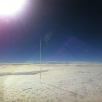 сначала показалось палка из песка торчит))