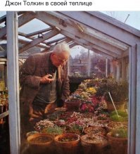 Теперь все встает на свои места - без такой теплицы ни хоббитов не увидишь ни Сильмариллион не напишешь