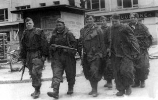 Камуфляж времён ВОВ. Амёба, Листопад и Кикимора (так же Леший и ещё куча названий).