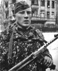 Камуфляж времён ВОВ. Амёба, Листопад и Кикимора (так же Леший и ещё куча названий).