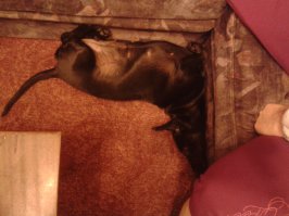 Да вот тоже не знаю,как это назвать. :)