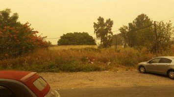 Возле работы в промзоне Кирьят-Ата ,в обычный день и вчера