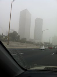 Каждый день , и сегодня из окна:)