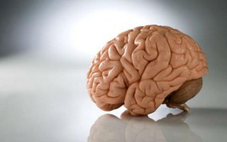 Пусть этим изобретением природы научатся пользоваться.