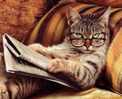  Любознательная студентка и патологоанатом