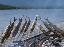 Омуль на рожне. Байкал.