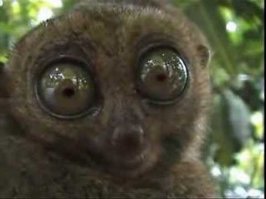 Я думал, что знаю всё)))