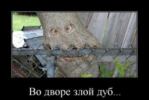 Подборка демотиваторов