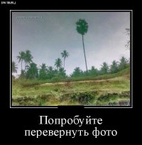 Подборка демотиваторов
