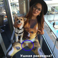 Фотоподборка за 10.09.2015