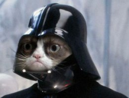 Он не знает с кем связался :)