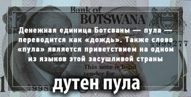 8 интересных фактов о дожде