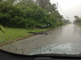 У нас в Забайкалье дожди уже неделю идут!