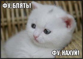 Гифки дня