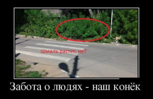 Подборка демотиваторов