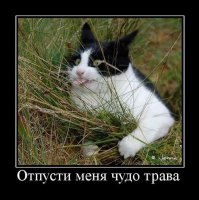 Жизнь, как сумма простых телодвижений
