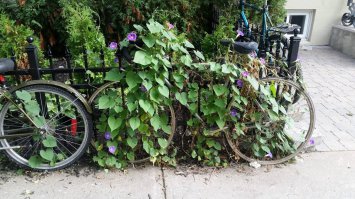 Напомнило: "Часть корабля, Часть команды!"