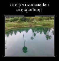 Подборка демотиваторов