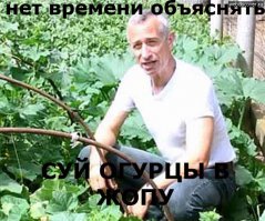 Как изменить свойства психики человека с помощью обычной воды