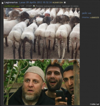 Венгерская журналистка пнула девочку мигранта, из-за чего ее уволили