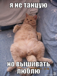 Любителям пушистых и нахальным