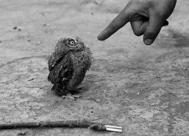 Вот когда полицеискии останавливает