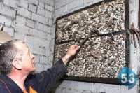 Неожиданный прокол колеса