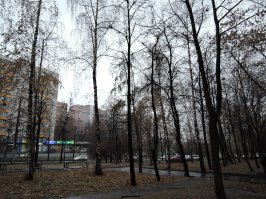 Из серии "ожидание и реальность"