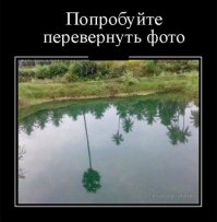 Подборка демотиваторов, которые поднимут вам настроение!