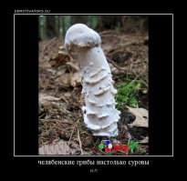 X.yeвbIЙ гриб сразу видно!
